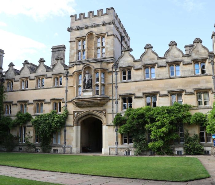 The Oxford Institute